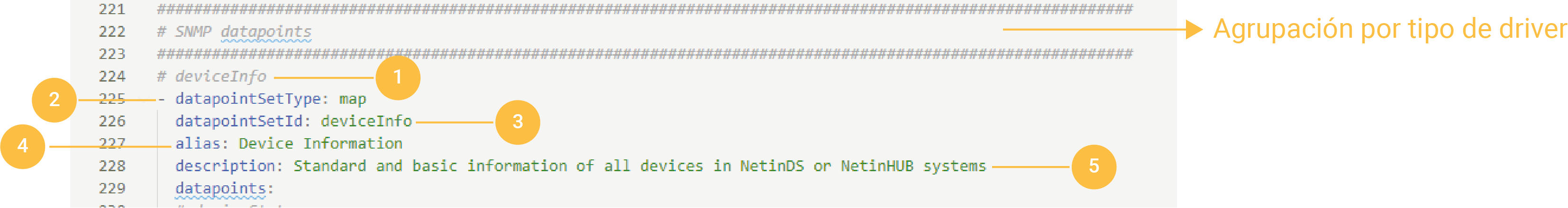netin-spider-templates-datapintSets-declaration-map-01.png